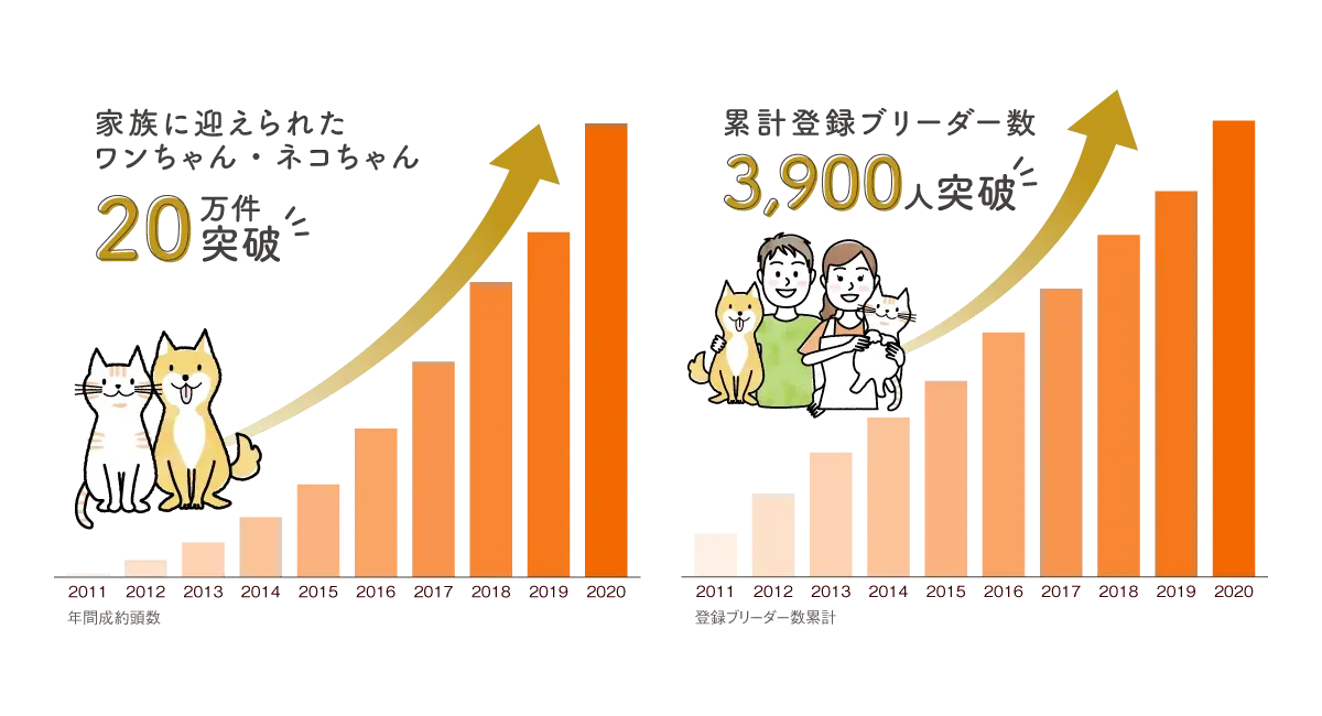 猫 ブリーダー 数：衝撃の環境省調査結果！知っておくべき実態と選び方